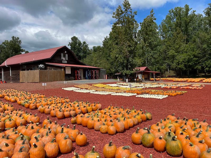 Burt's Farm – Dawsonville