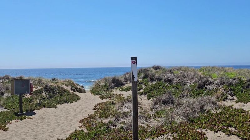 If You're Craving Real Quiet This Spring, This Northern California Escape Is It - Decor Hint Approximately 150 Miles Of Hiking Trails