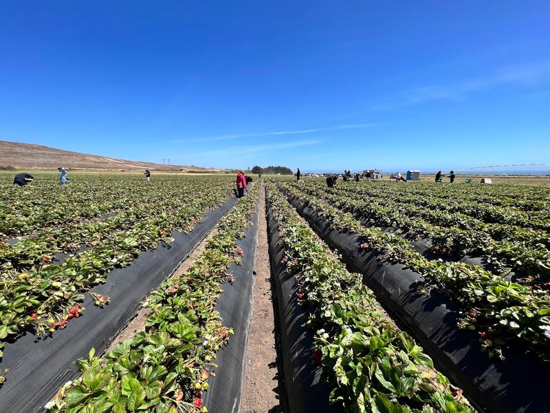 Sustainable Farming Methods That Protect The Coast