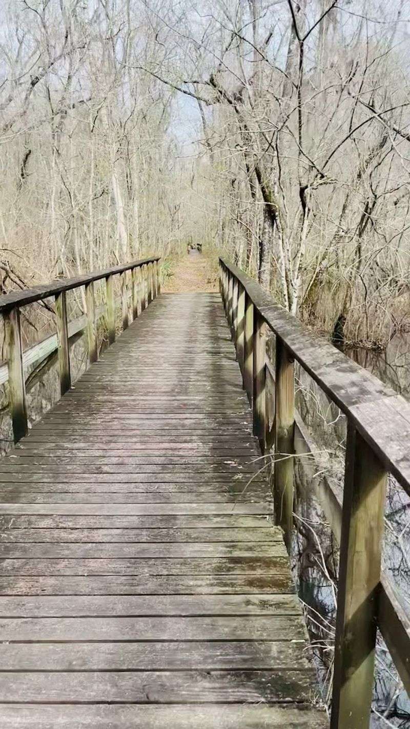 Museum Exhibits That Bring Canal History to Life