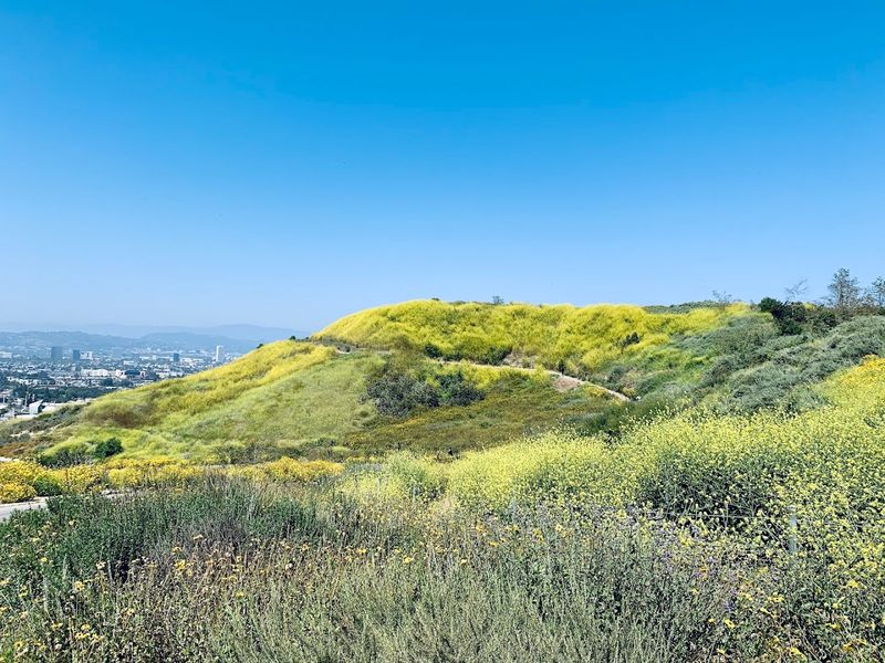 A Clear-Day Visit After Rain Delivers The Most Spectacular Views