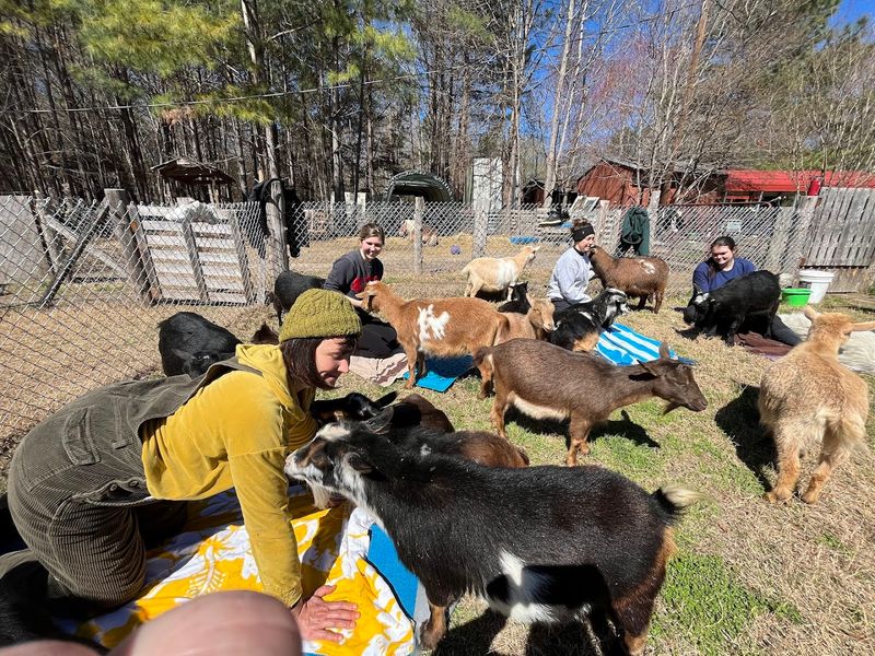 A Peaceful Durham Farm Where Yoga Mats Replace Gym Floors