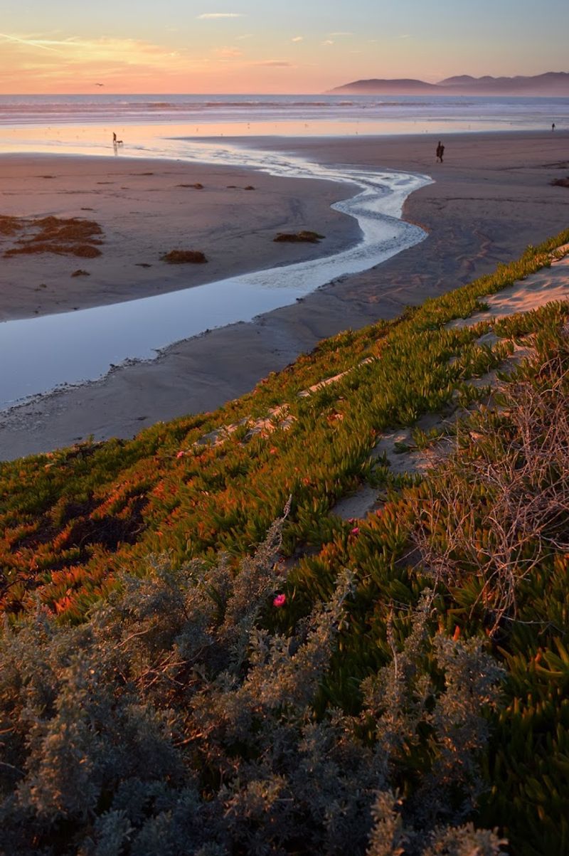 Pismo State Beach North Beach Campground, Pismo Beach