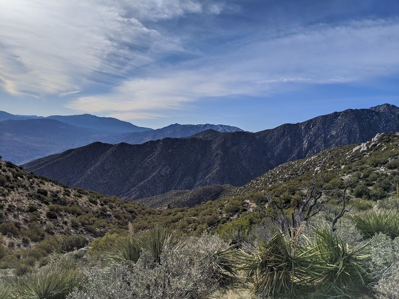 Cactus To Clouds Trail