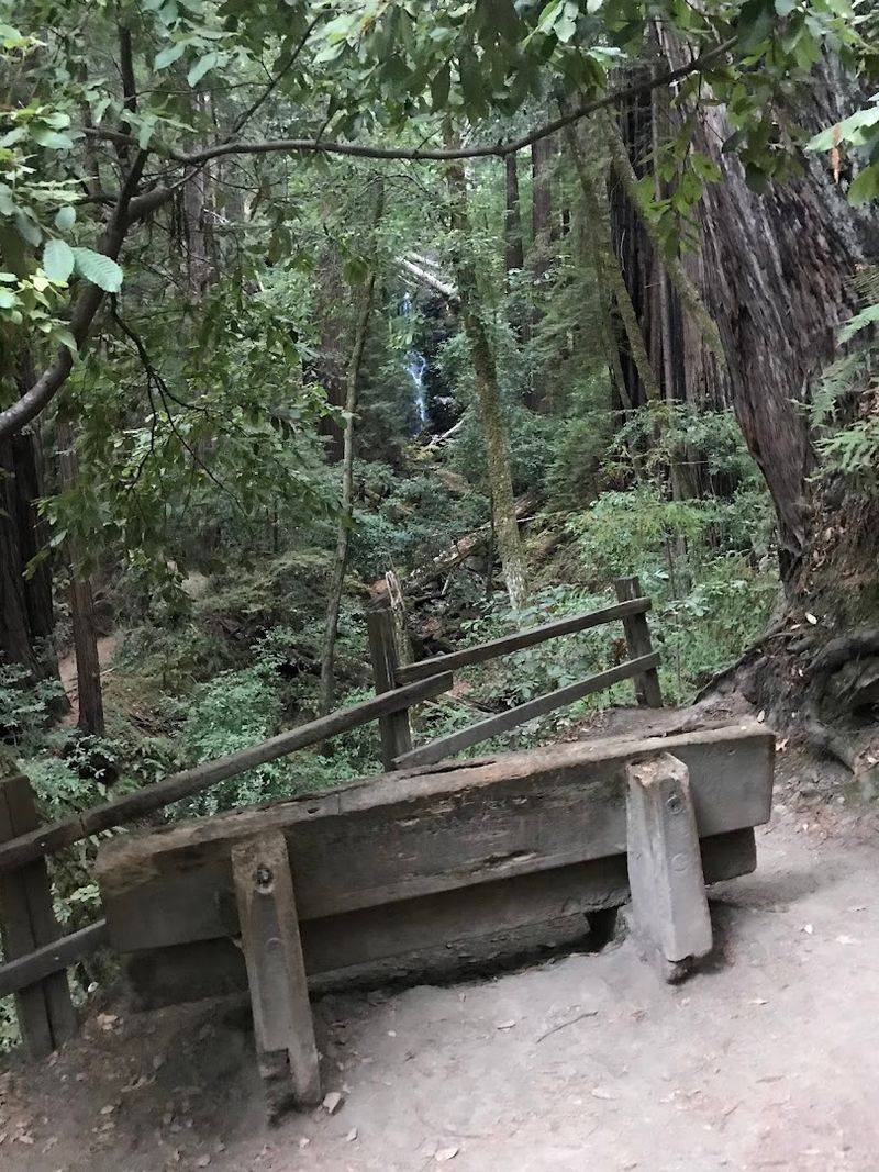 Skyline-To-The-Sea Trail