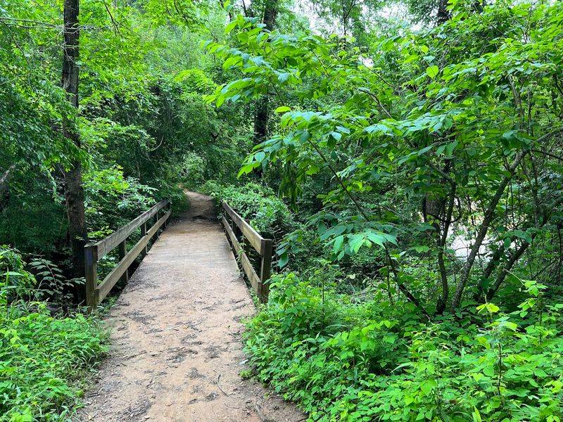 Playground Fun for Families With Kids