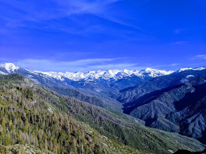 Diverse Ecosystems From Foothills To Alpine Tundra