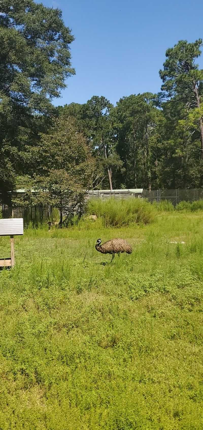 Detailed Animal Profiles and On-Site Learning