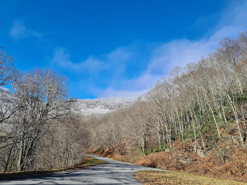 A Sanctuary For Mindful Exploration