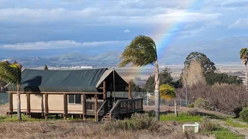 Spring At This Private California Wildlife Sanctuary Means Waking Up With Lions, Rhinos, And Zebras - Decor Hint Reservations Are Required And Spring Dates Book Up Quickly