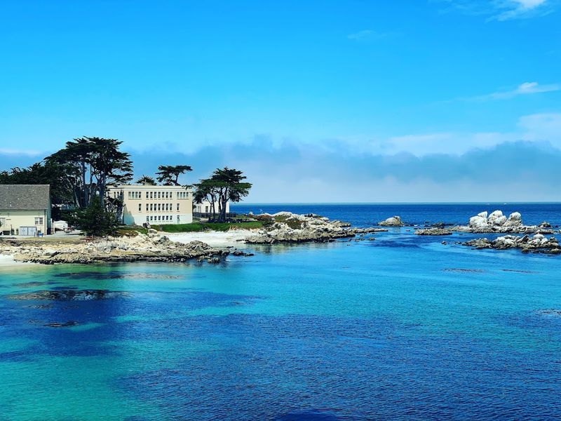 Educational Programs