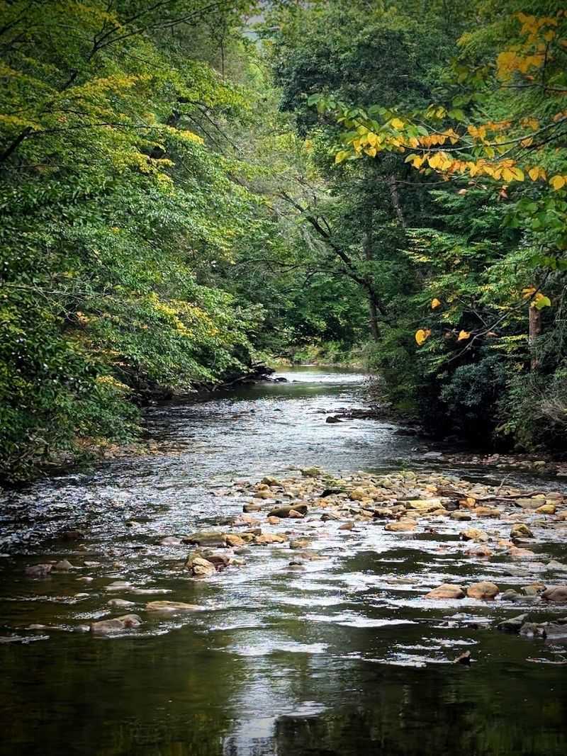 Black Balsam Art Loeb South Trailhead, Brevard
