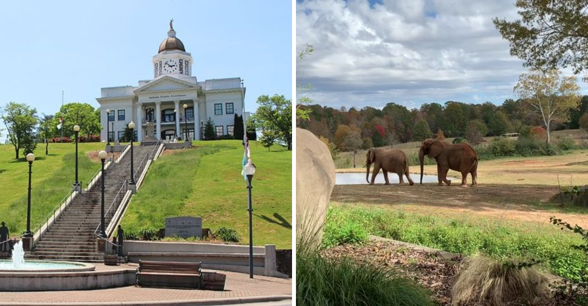 North Carolinas Coast Is Calling And These Are The Spring Break Spots You Simply Cannot Skip - Decor Hint