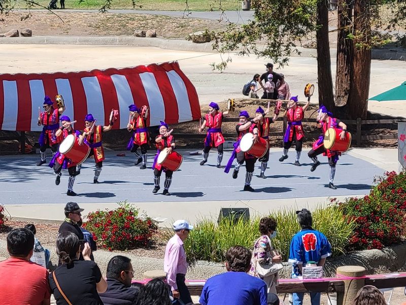 Cupertino Cherry Blossom Festival