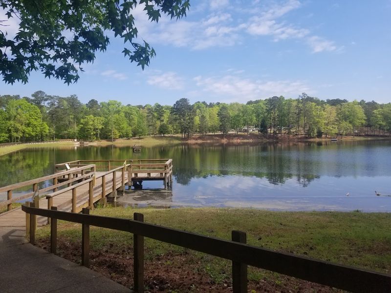 15 Georgia Beachfront Campgrounds Where You Can Camp Steps From The Water - Decor Hint F.D. Roosevelt State Park