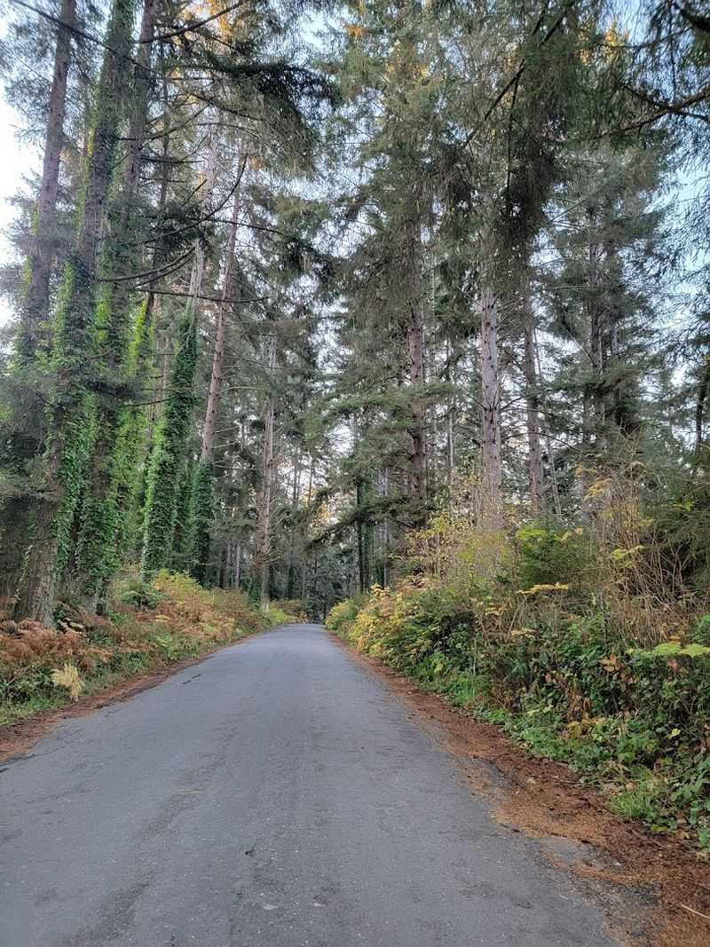 Home To Recreated Yurok Village Sites