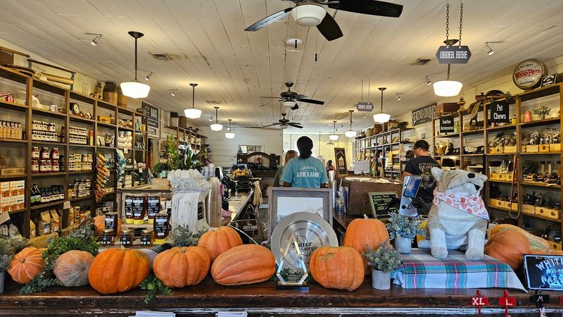 This Unassuming Georgia Farm Is Quietly Driving A Revolution In American Agriculture - Decor Hint Educational Farm Tours