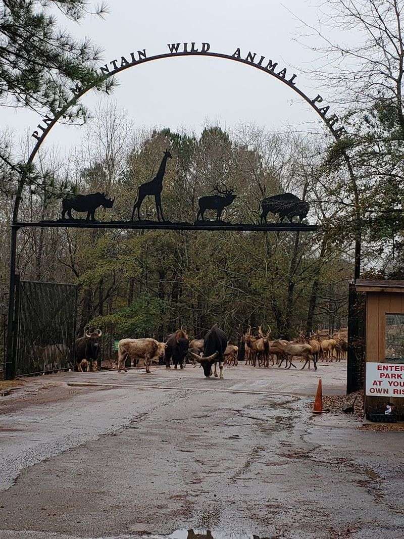 Year-Round Seasonal Appeal