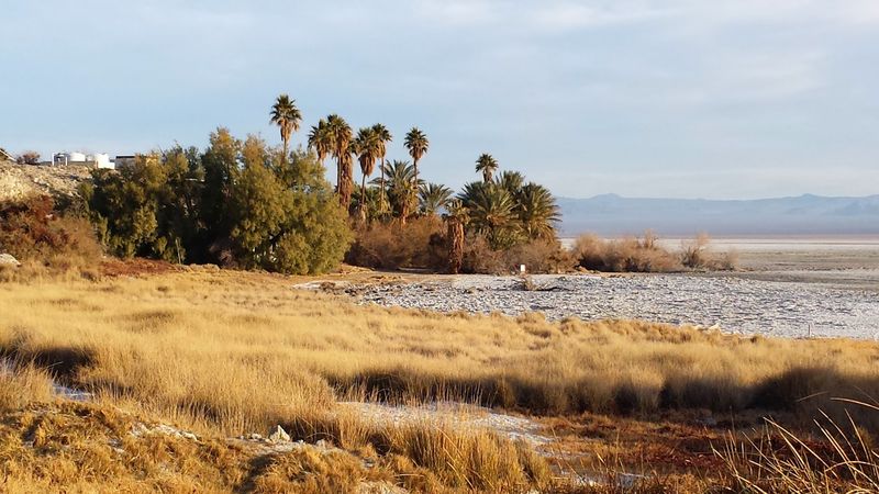 A Journey Down The Most Mysterious Highway In California - Decor Hint The Man Who Created Zzyzx
