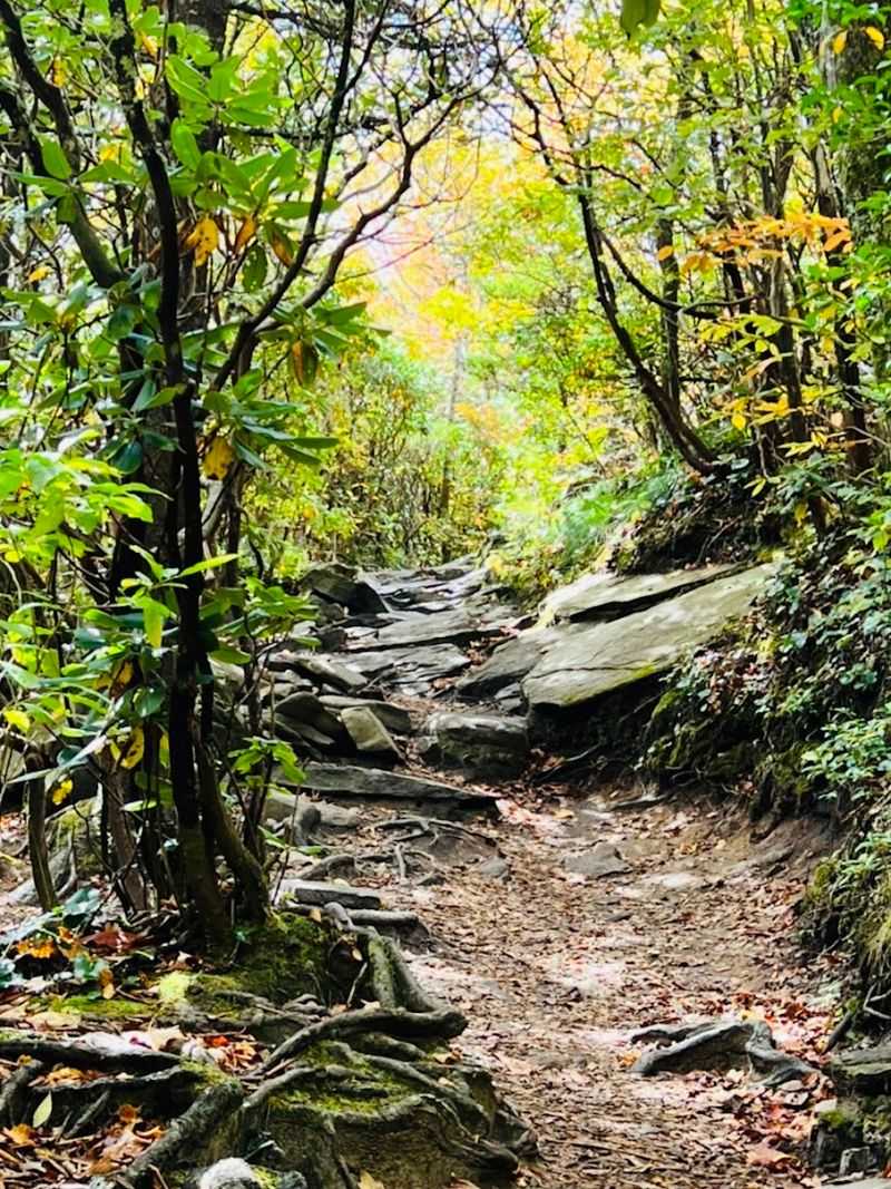 This Quick Trail Near Linville Feels Bigger Than The Effort