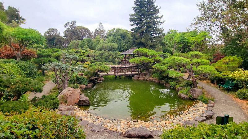 The Thoughtful Design Behind Every Stone And Plant