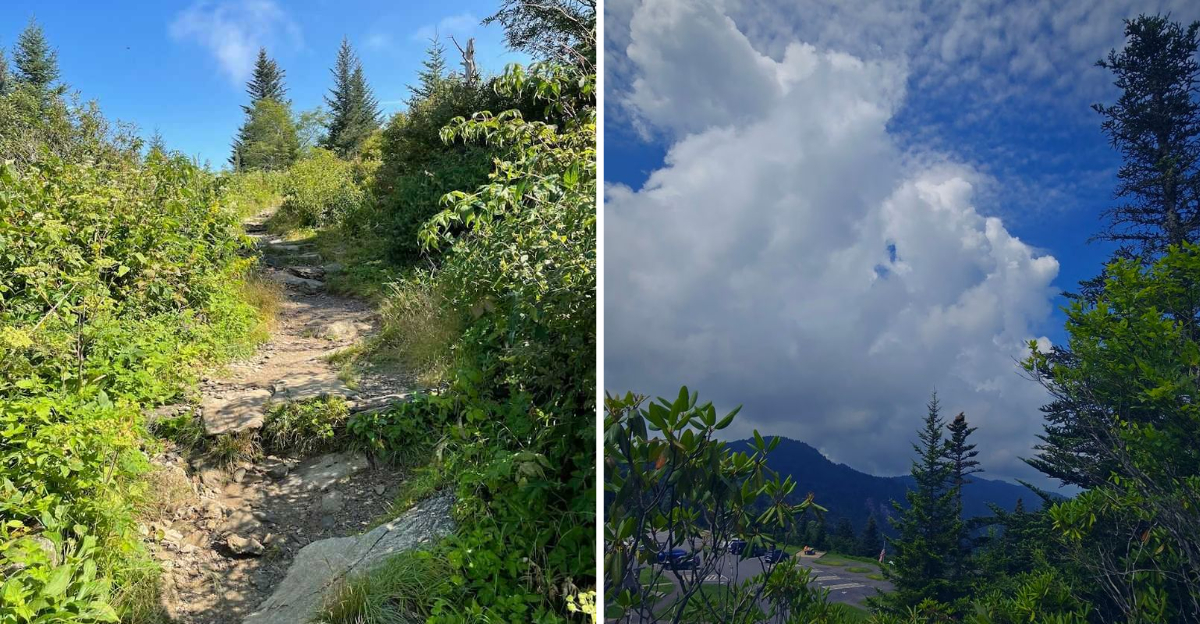 One Short North Carolina Trail Leads To An Incredible Smoky Mountains View - Decor Hint