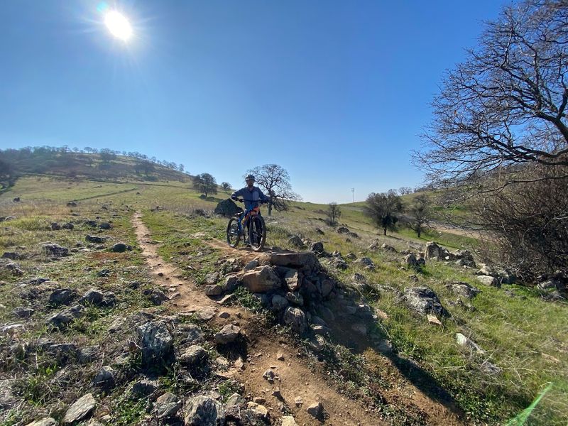 This Mountain Bike Park In La Grange, California Is A Spring Adventure Every Rider Should Try - Decor Hint Notable Downhill Trails: Down And Out, Gnarnia, And Flying Squirrel