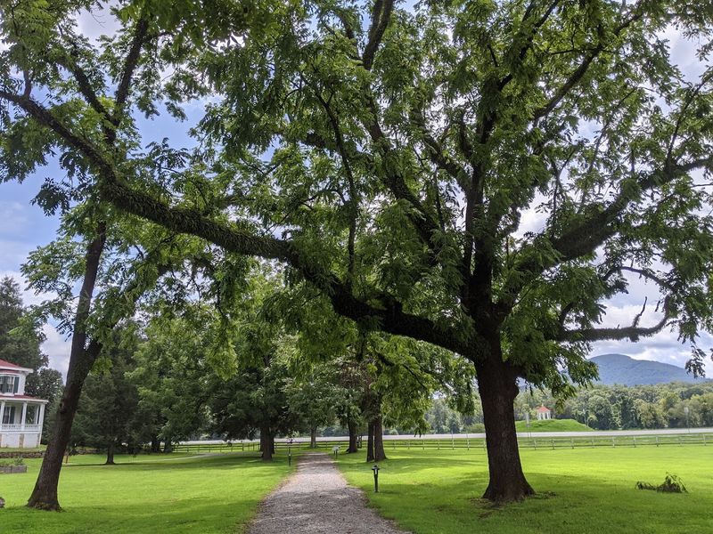 A Welcoming Space for the Whole Family (Pets Noted)