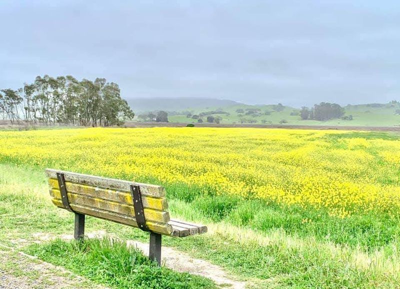 Accessible Design For All Ability Levels