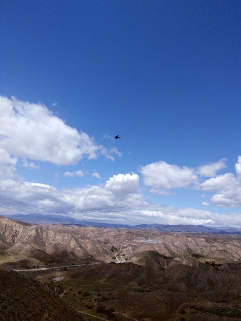 720 Acres Of Open Space Terrain