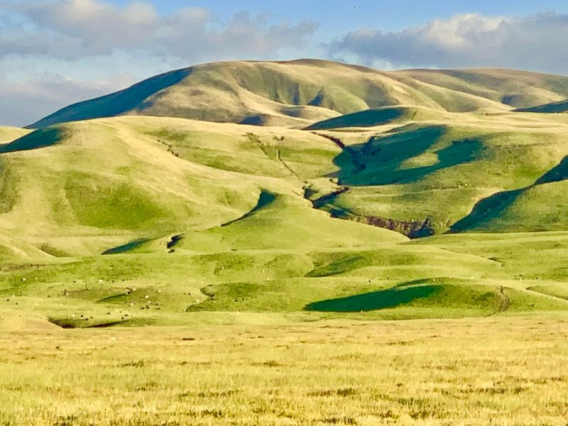 Nearly 15,000 Acres Permanently Protected In 2021