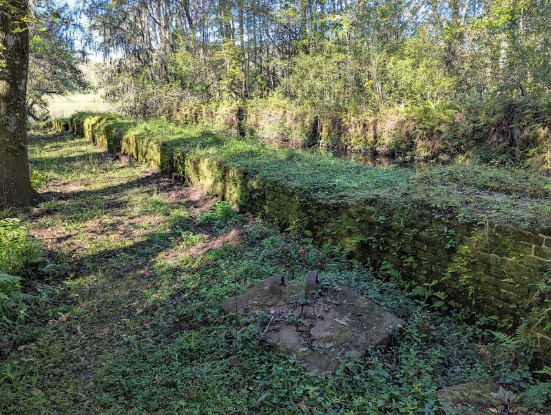 Picnic Areas Surrounded by Nature