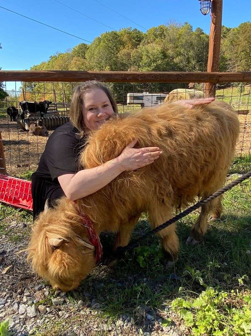 Open Every Single Week of the Year