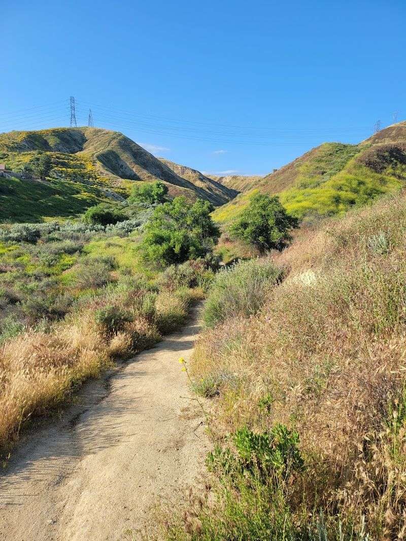 Less Than An Hour From Downtown Los Angeles