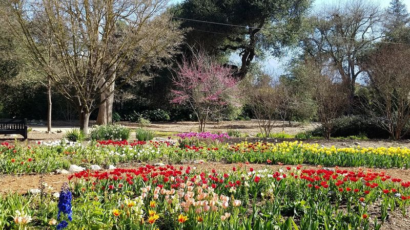 The Garden Is Located In La Canada Flintridge