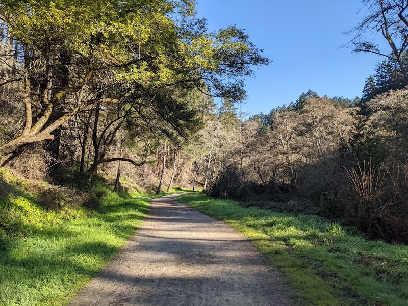 If You're Craving Real Quiet This Spring, This Northern California Escape Is It - Decor Hint More Than 1,000 Species Of Plants And Animals