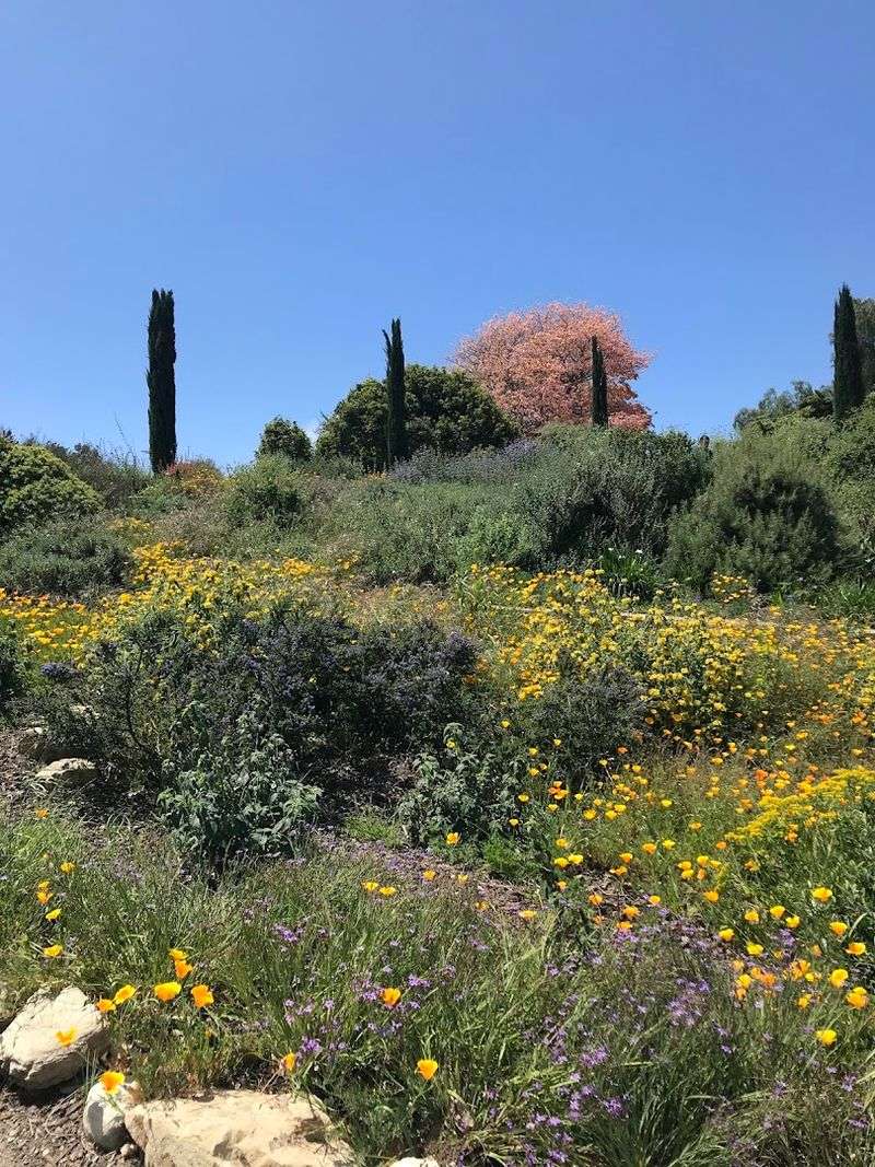 Paint And Sip: Paint The Upper Meadow Slope