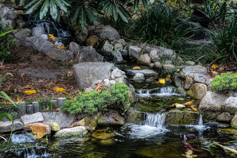 Nature Waves: Sound Bathing In The Garden