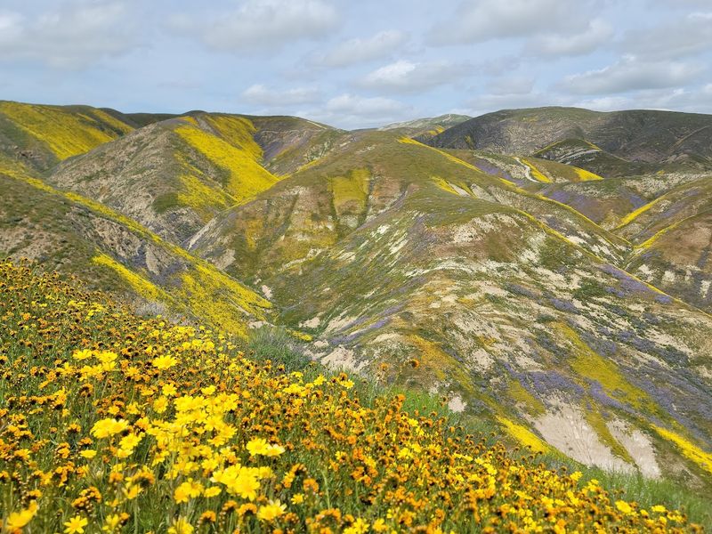 The Best Window For Visiting Is Surprisingly Short