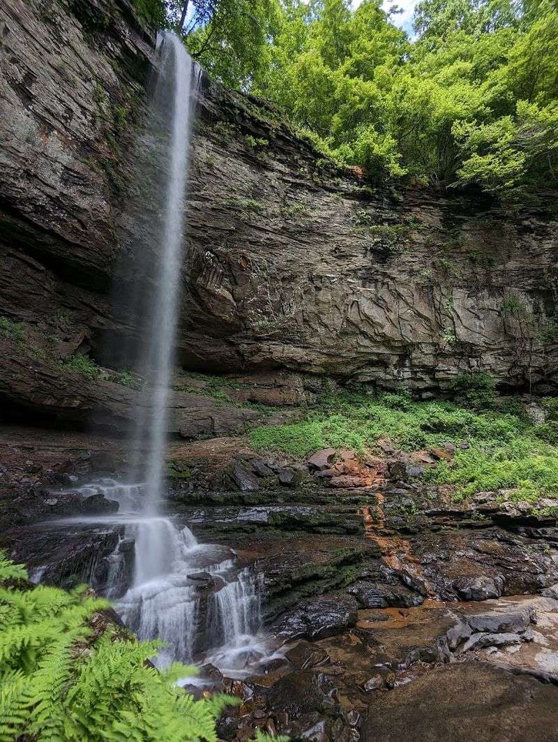 Wildflower Bloom Season