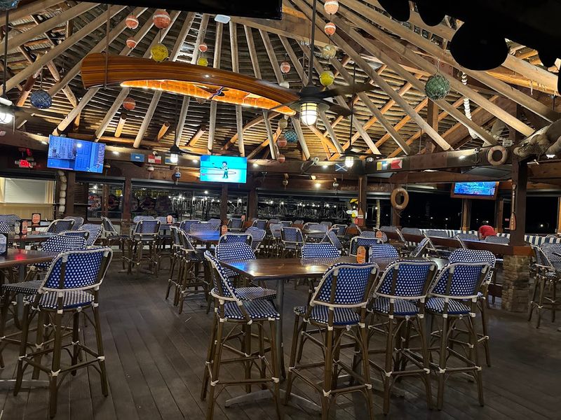 Live Music Entertainment