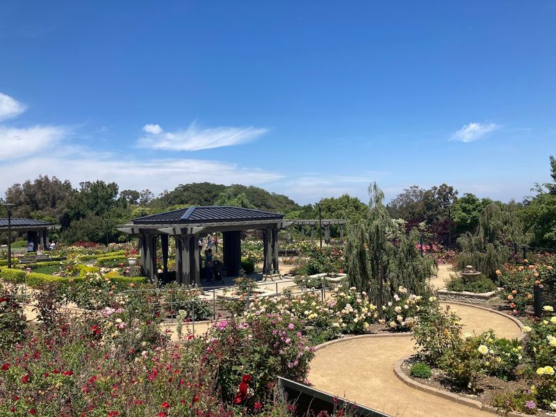 Macrame Workshop: Knot Your Bottle Holder