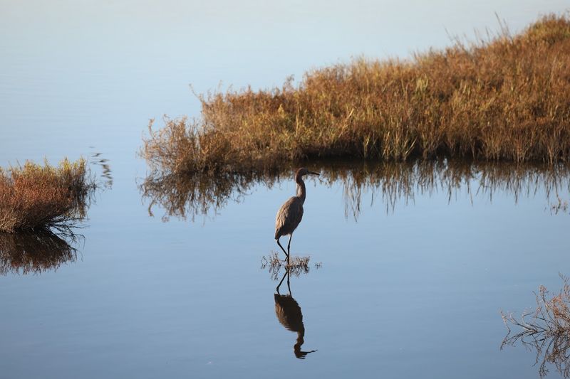Diverse Habitats Support An Unusually Wide Range Of Wildlife