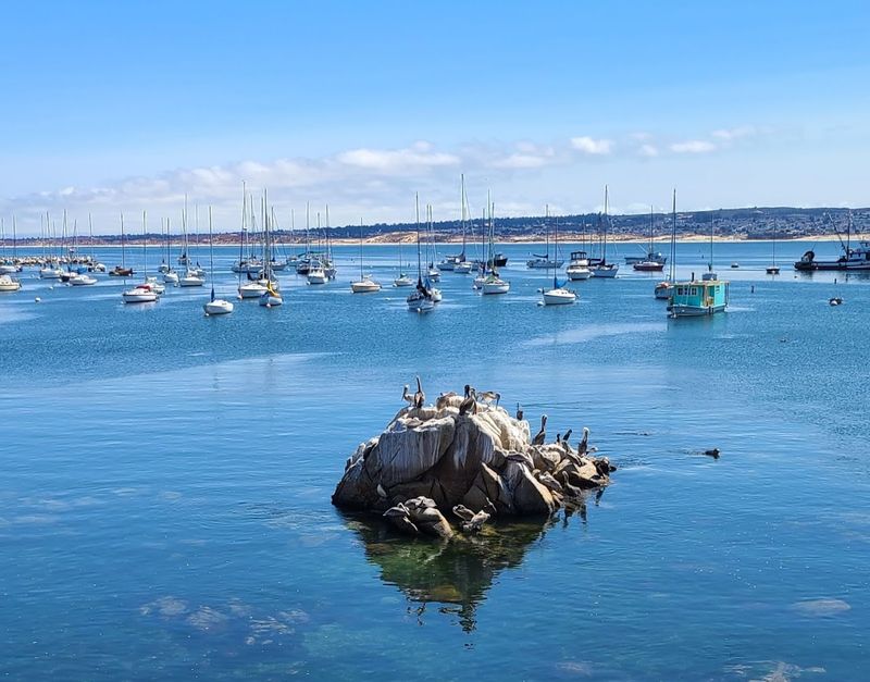 Nearby Attractions That Pair Well With An Aquarium Day Trip