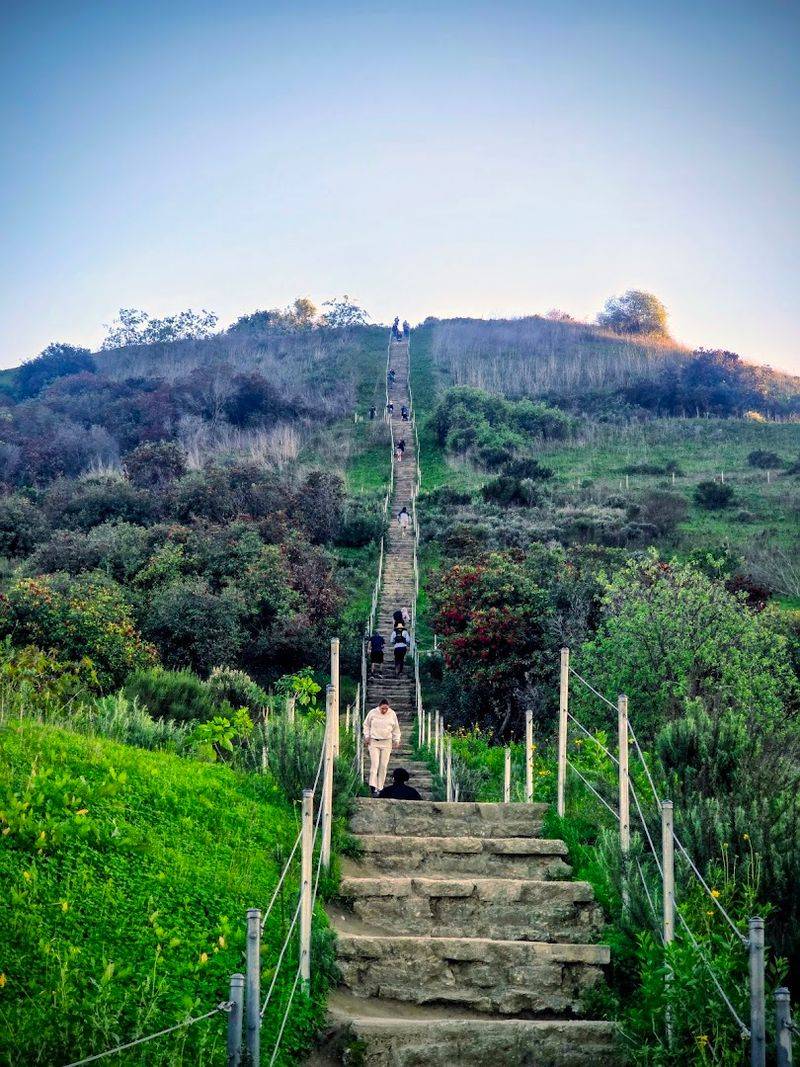 The Park Connects To The Larger Park To Playa Trail System