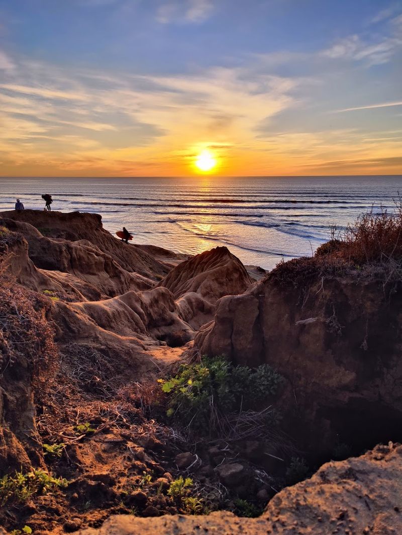 Wildlife Commonly Spotted Along The Cliffs