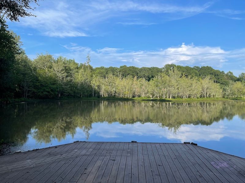 Birdwatching Worth Waking Up Early For