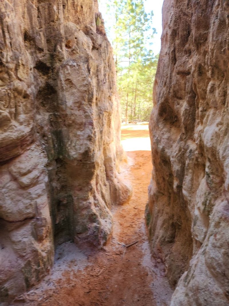 This Breathtaking Natural Wonder Providence Canyon State Park Georgia Is A 2026 Must-Visit - Decor Hint Rare Plumleaf Azalea Blooms