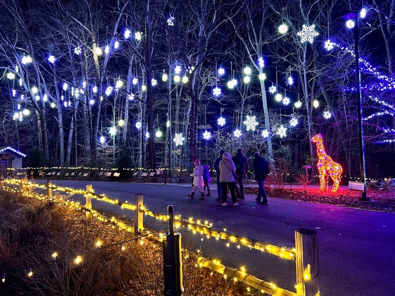 Community Engagement