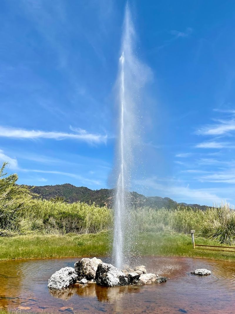 How The Geyser Compares To Yellowstone's Old Faithful